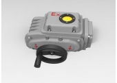 Explosion Proof Type Actuator